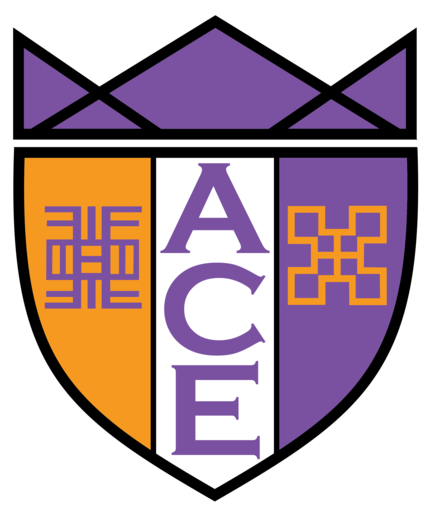 Mentoring Support — ACE Academy